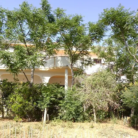 Apartment Kresimir Beauty With Shadow Trees And Parking Place Pag Town