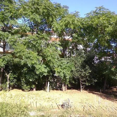 Apartment Kresimir Beauty With Shadow Trees And Parking Place Pag Town
