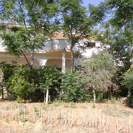 Kresimir Beauty With Shadow Trees And Parking Place Pag Town