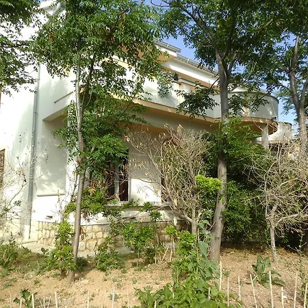 Kresimir Beauty With Shadow Trees And Parking Place * Pag Town