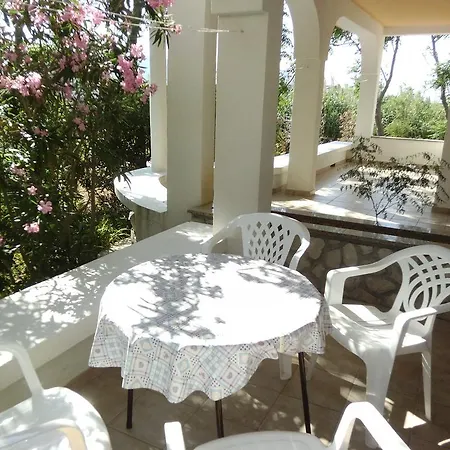 Kresimir Beauty With Shadow Trees And Parking Place *