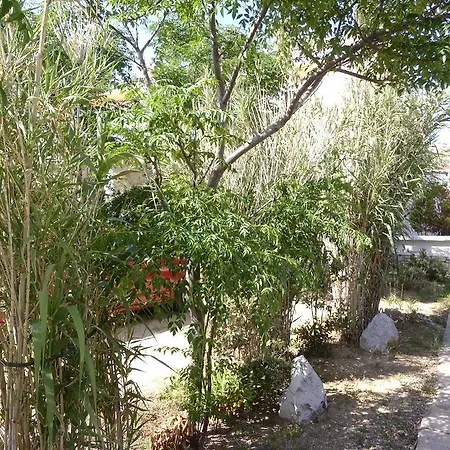 Apartament Kresimir Beauty With Shadow Trees And Parking Place *