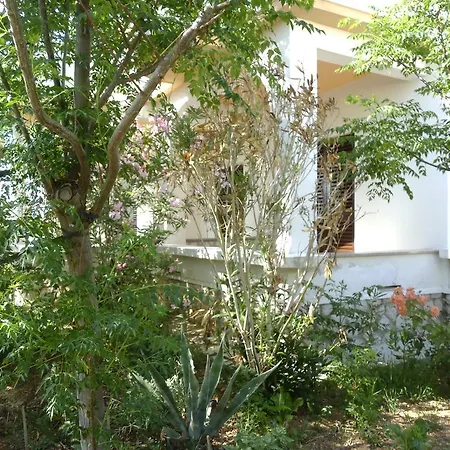 Kresimir Beauty With Shadow Trees And Parking Place * Pag Town