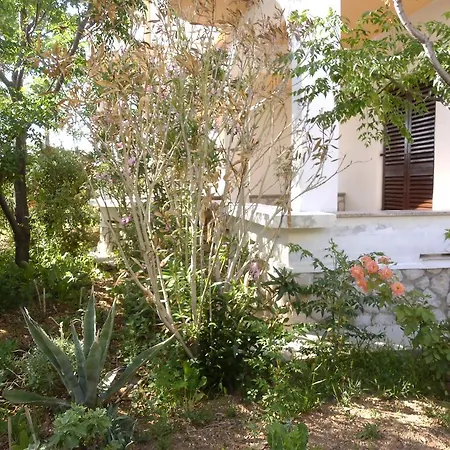 Apartament Kresimir Beauty With Shadow Trees And Parking Place *