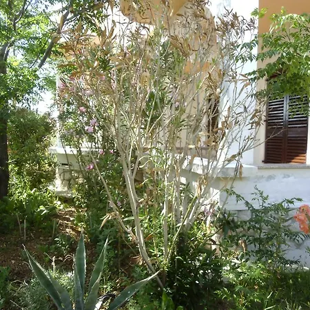 Apartament Kresimir Beauty With Shadow Trees And Parking Place