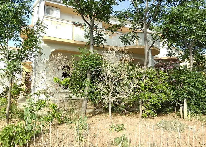 Kresimir Beauty With Shadow Trees And Parking Place *