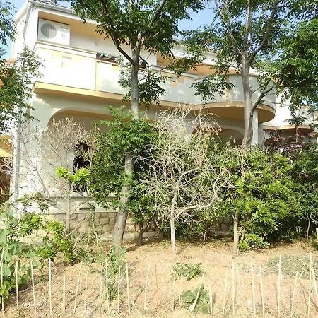 Kresimir Beauty With Shadow Trees And Parking Place *