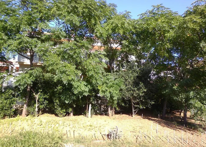 公寓 Kresimir Beauty With Shadow Trees And Parking Place 帕格